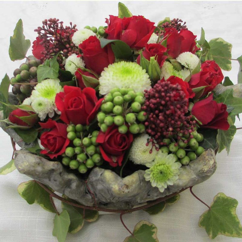 Wüstenrosenzwiebeln 2 Stück - Dürreresistente Blumen Für Beet & Topf