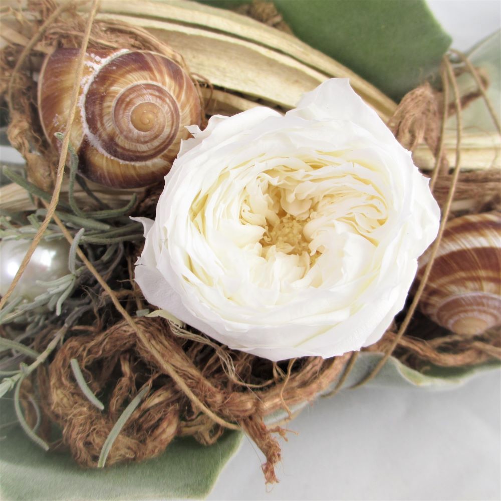 Das trendig ausgeschmückte, sehr lange haltbare Kalanchoe-Blatt – Bild 3