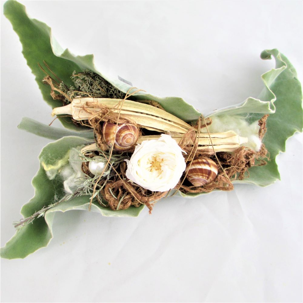 Das trendig ausgeschmückte, sehr lange haltbare Kalanchoe-Blatt