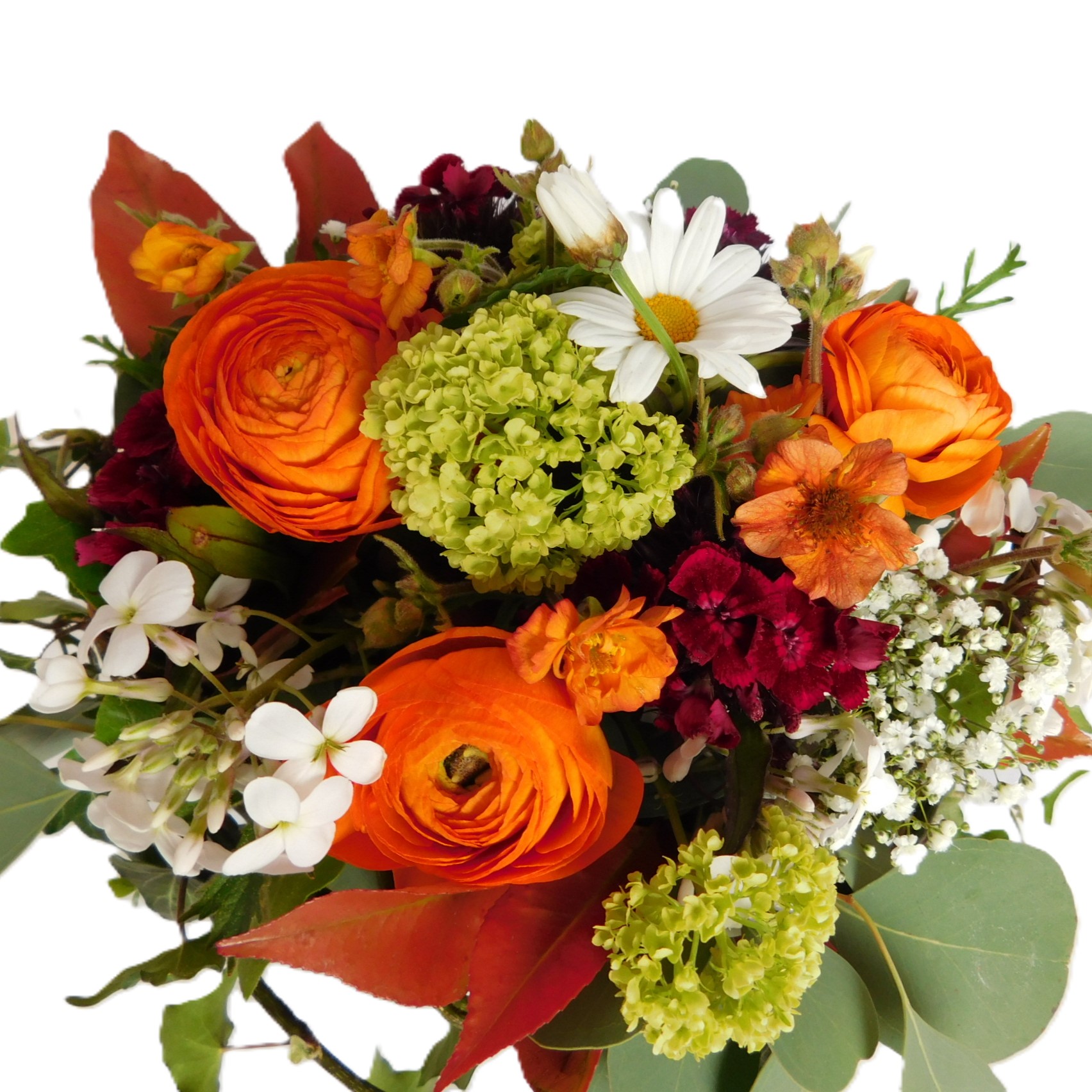 Der fröhliche, zauberhafte Frühlings-Strauss mit bunten Ranunkeln – Bild 4